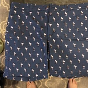 J. Crew Navy and Cream Shorts